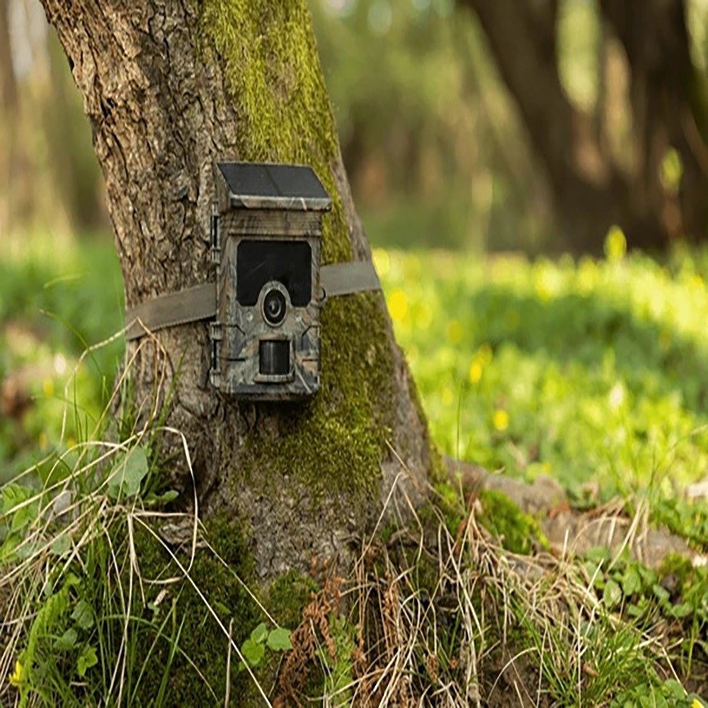 Camera Traps category image